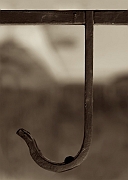 Wall_Art_Alphabet_Photography_Art_ 1105
